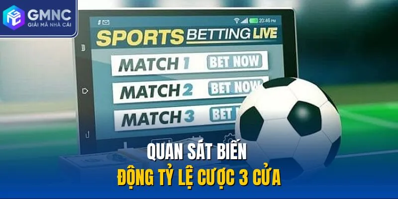 Quan sát biến động tỷ lệ cược 3 cửa